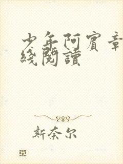 少年阿宾章节在线阅读