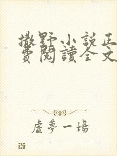 撒野小说正版免费阅读全文无删减