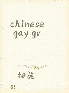 chinese gay gv封面