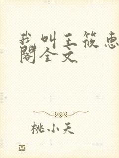 我叫王筱惠笔趣阁全文封面