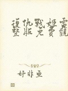 复仇战姬电影完整版免费观看封面