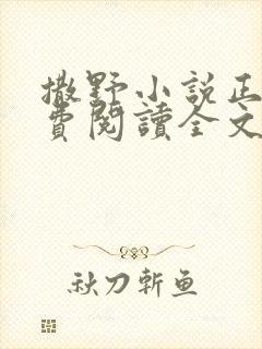 撒野小说正版免费阅读全文无删减