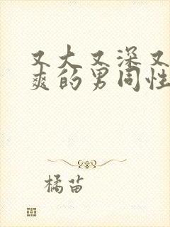 又大又深又猛又爽的男同性恋视频