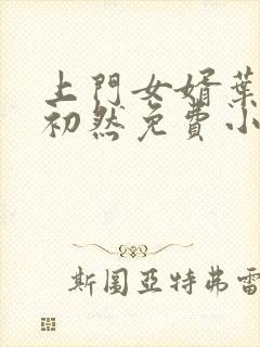 上门女婿叶辰萧初然免费小说