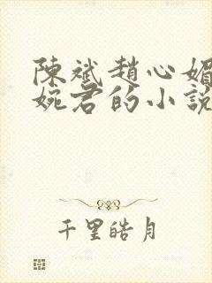 陈斌赵心媚和高婉君的小说免费阅读