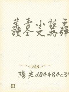 叶青小说免费阅读全文无弹窗