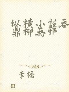 纵横小说吞天神鼎柳无邪