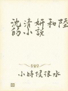 沈清妍和陆宴洲的小说封面