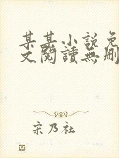 某某小说免费全文阅读无删减封面
