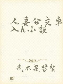 人妻公交车被进入h小说