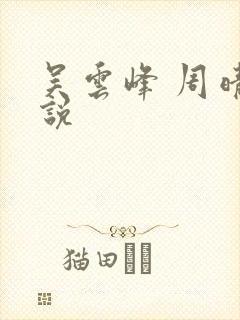 吴云峰 周晴小说