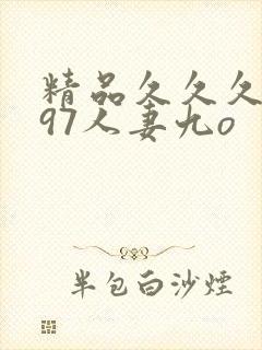 精品久久久久久97人妻九o