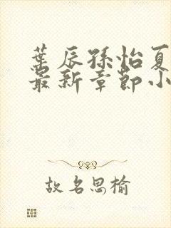 叶辰孙怡夏若雪最新章节小说心封面