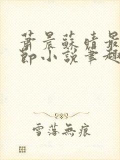 萧晨苏晴最新章节小说笔趣阁