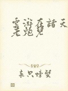 云游在诸天 老老炮儿