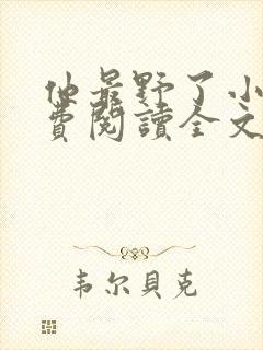 他最野了小说免费阅读全文