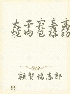 太子宠妾高肉红烧肉包讲的什么