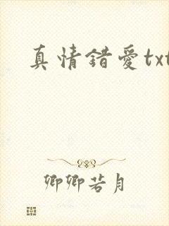 真情错爱txt封面