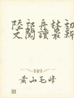 陆祁舟林初薇全文阅读最新章节封面