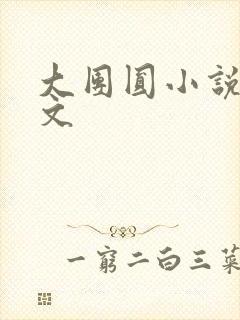 大团圆小说集全文