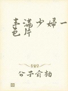 丰满少妇一级黄色片封面