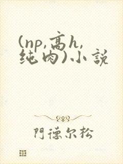 (np,高h,纯肉)小说