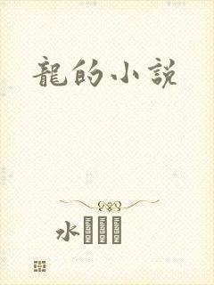 龙的小说封面
