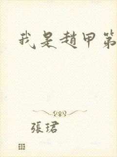 我是赵甲第小说