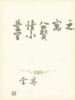 爱情公寓之极品曾小贤