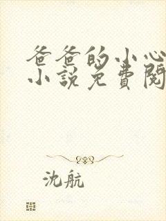 爸爸的小心肝儿小说免费阅读