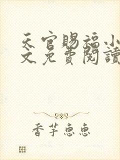 天官赐福小说全文免费阅读笔趣阁封面