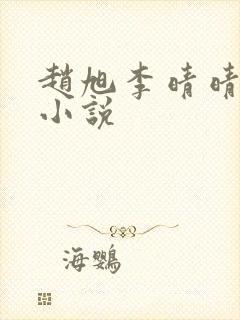 赵旭李晴晴最新小说封面