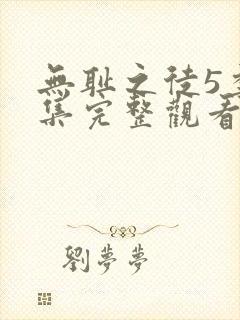 无耻之徒5季全集完整观看