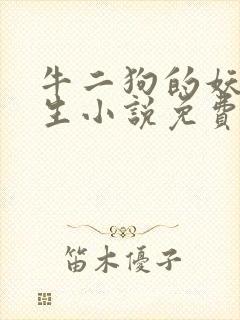牛二狗的妖孽人生小说免费阅读无弹窗封面