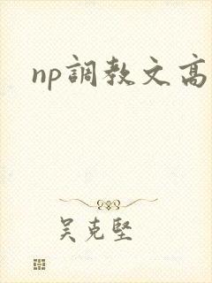 np调教文高h