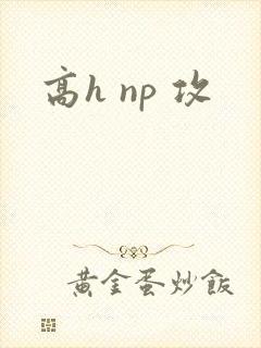 高h np 攻