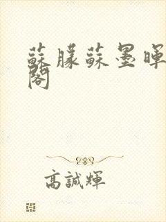 苏朦苏墨晖笔趣阁