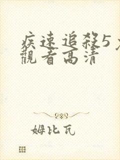 疾速追杀5免费观看高清