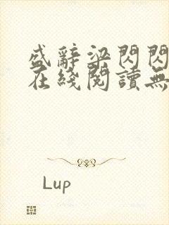 盛辞梁闪闪小说在线阅读无弹窗