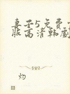 妻子5免费完整版高清韩剧在线播放封面