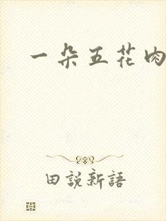 一朵五花肉封面