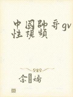 中国帅哥gv同性视频封面