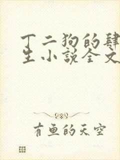 丁二狗的肆意人生小说全文