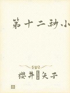 第十二秒小说