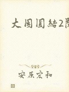 大团圆结2阅读