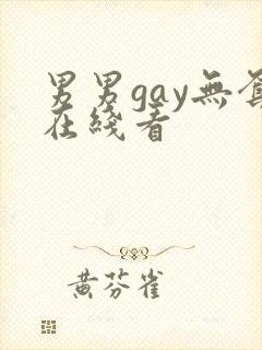 男男gay无套在线看