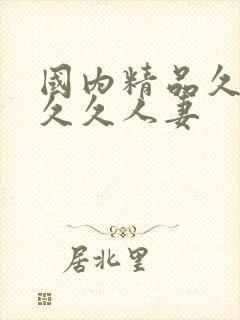 国内精品久久久久久人妻