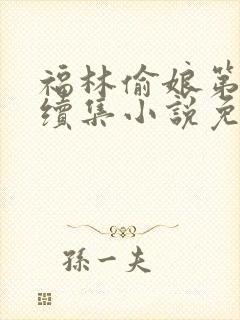 福林偷娘第三部续集小说免费阅读封面