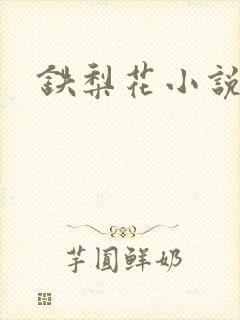 铁梨花小说封面