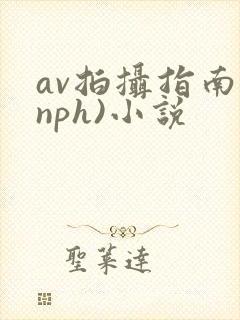 av拍摄指南(nph)小说封面